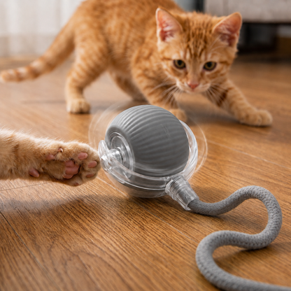 PurrBall: ¡El juguete definitivo para gatos con diversión y entretenimiento sin fin!