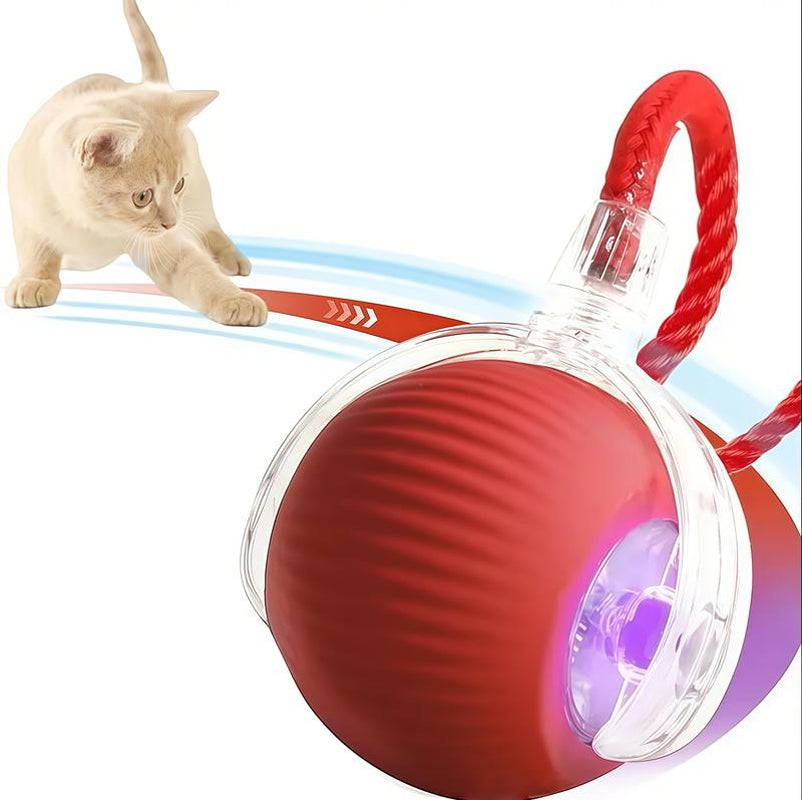 PurrBall: The Ultimate Cat Toy for Endless Fun and Engagement!